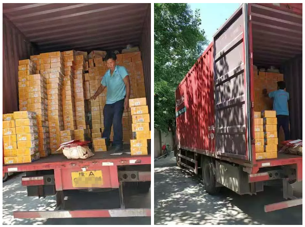 15681680449032703080.png 3005.png