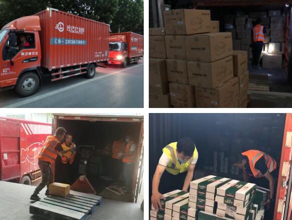 15940041054544156117.jpg 11.jpg